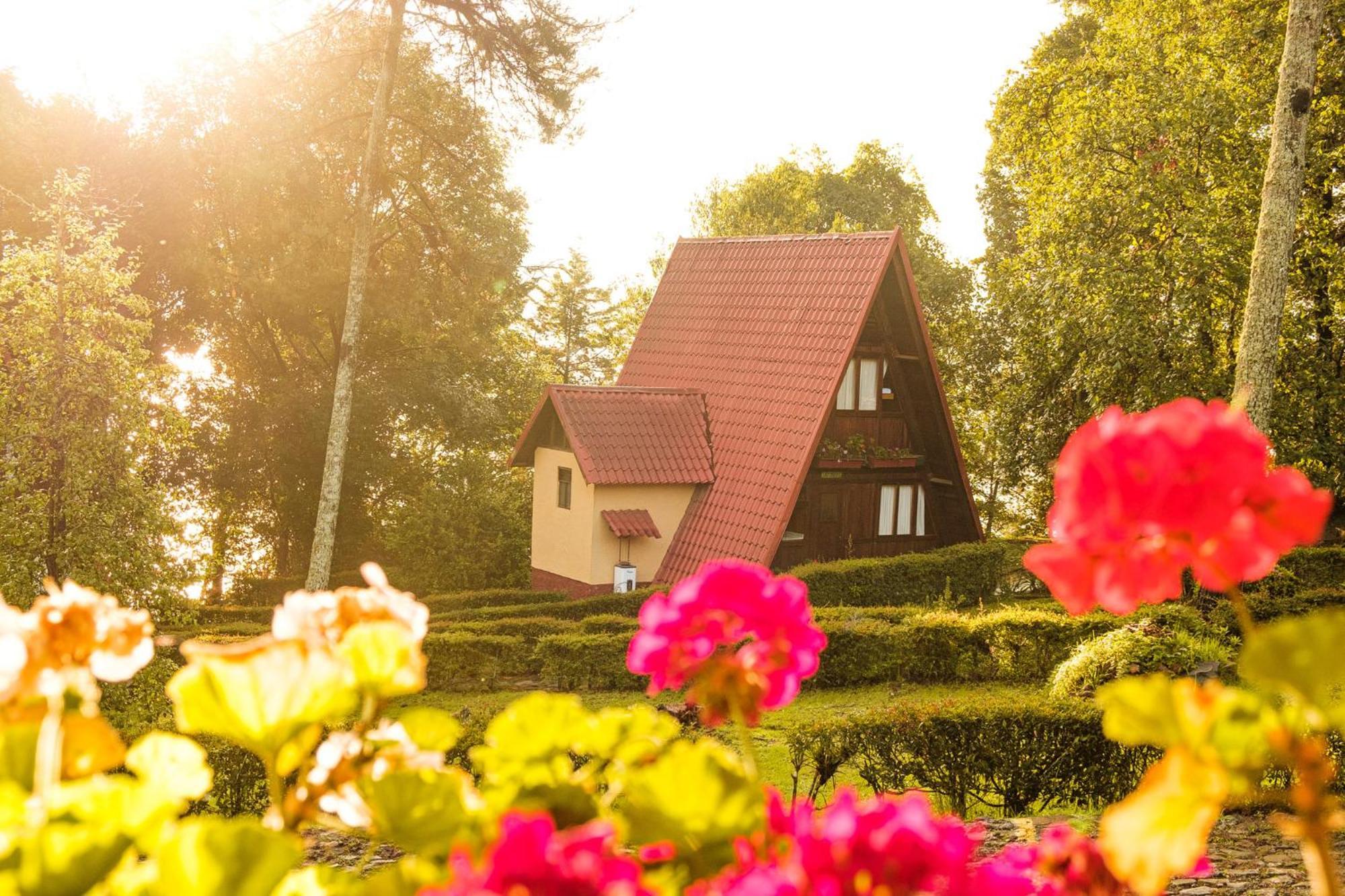 Zirahuen Forest And Resort Εξωτερικό φωτογραφία