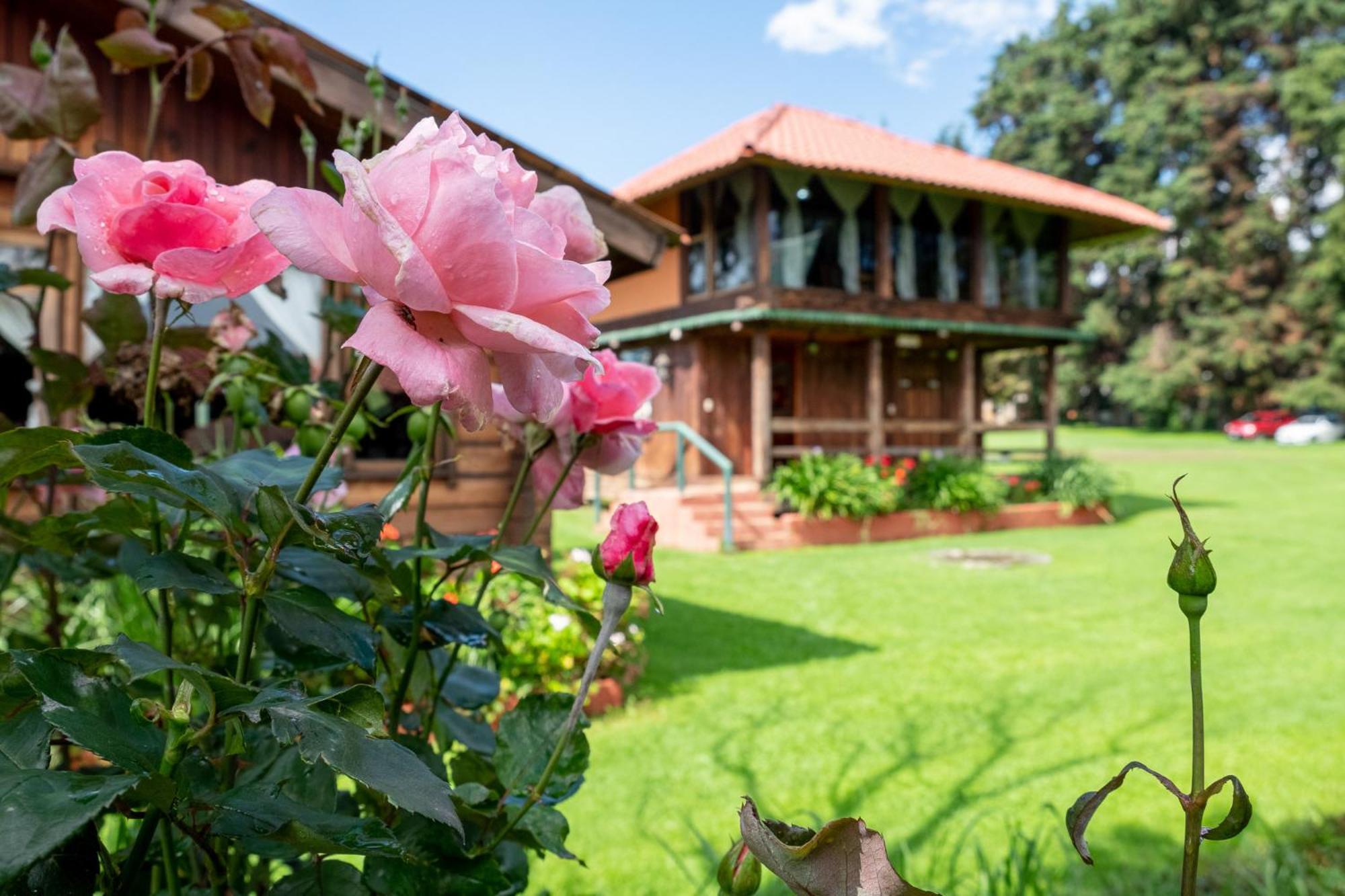 Zirahuen Forest And Resort Εξωτερικό φωτογραφία